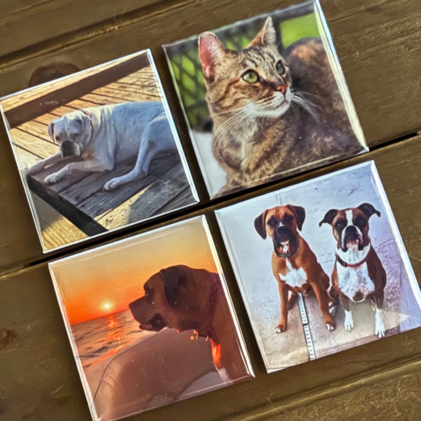 Set of 4 Custom 2"x 2" Photo Magnet